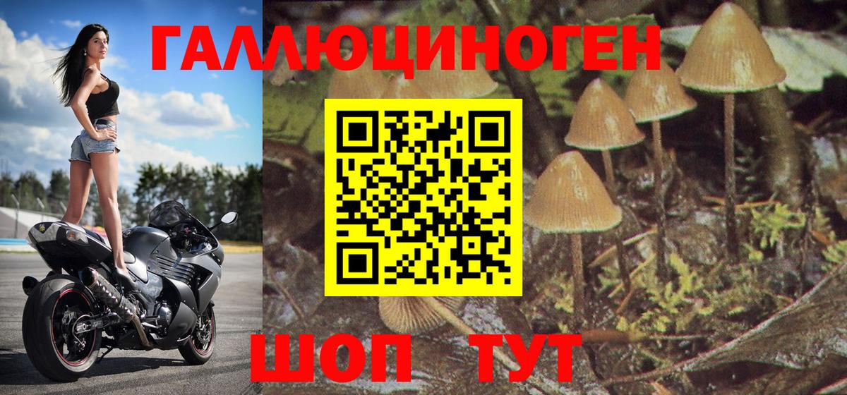 Псилоцибиновые грибы мицелий Ижевск