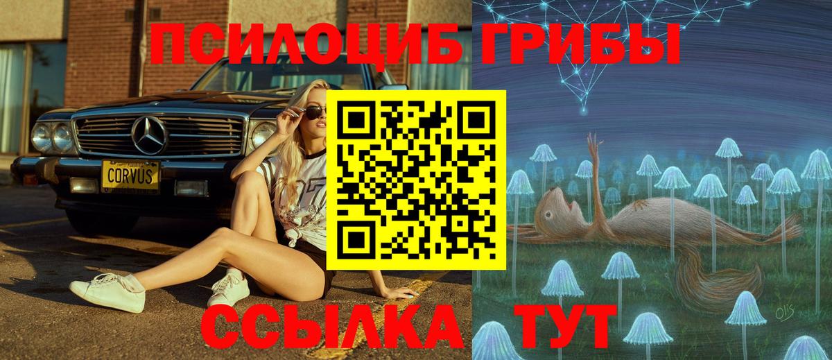 Ижевск  Галлюциногенные грибы MAGIC MUSHROOMS  Вход с VPN 